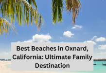 Best Beaches in Oxnard, California: Ultimate Family Destination